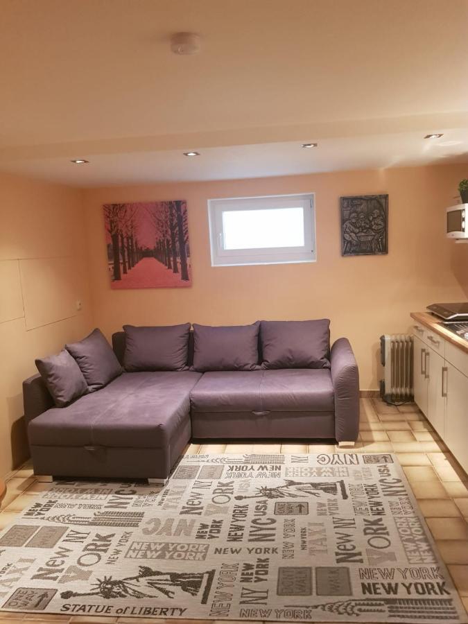 Gemuetliche Ferienwohnung Mit Kamin Und Sauna! Nistertal المظهر الخارجي الصورة