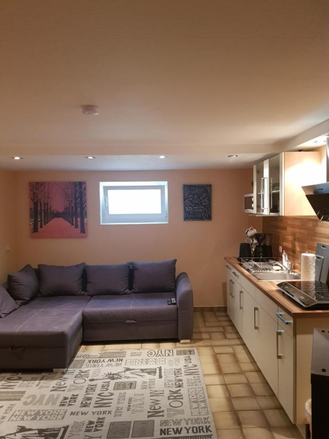 Gemuetliche Ferienwohnung Mit Kamin Und Sauna! Nistertal المظهر الخارجي الصورة