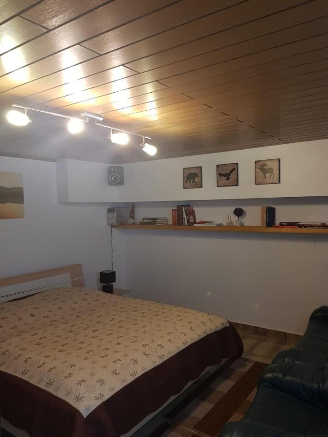 Gemuetliche Ferienwohnung Mit Kamin Und Sauna! Nistertal المظهر الخارجي الصورة